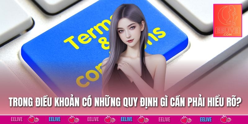 Trong điều khoản có những quy định gì cần phải hiểu rõ?